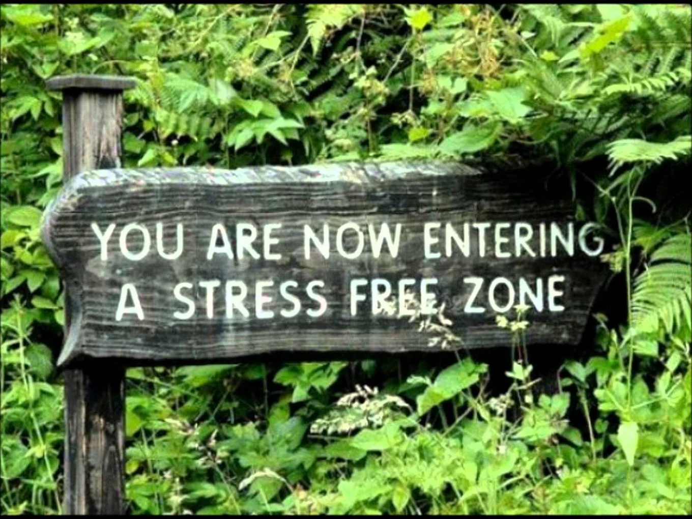 stressfree Erik Zoomers massagetherapeut MassageHelpt